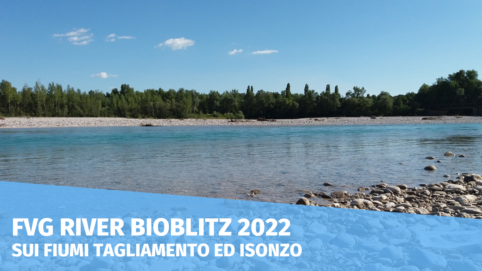 FVG River Bioblitz – appuntamenti di aprile